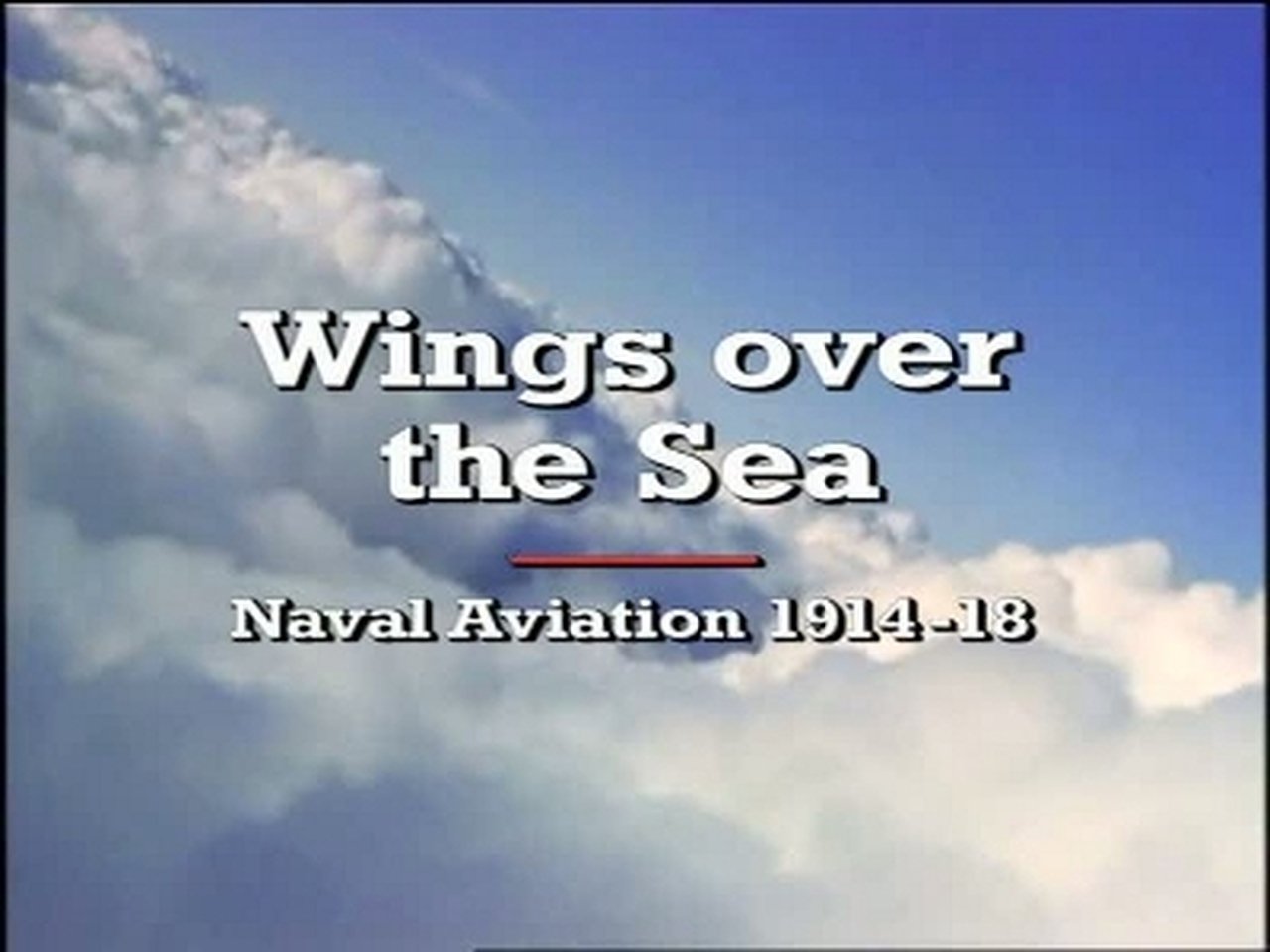 Wings Over the Sea