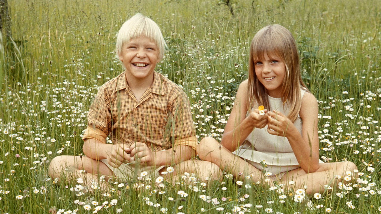 Den vita stenen bakgrundsbild