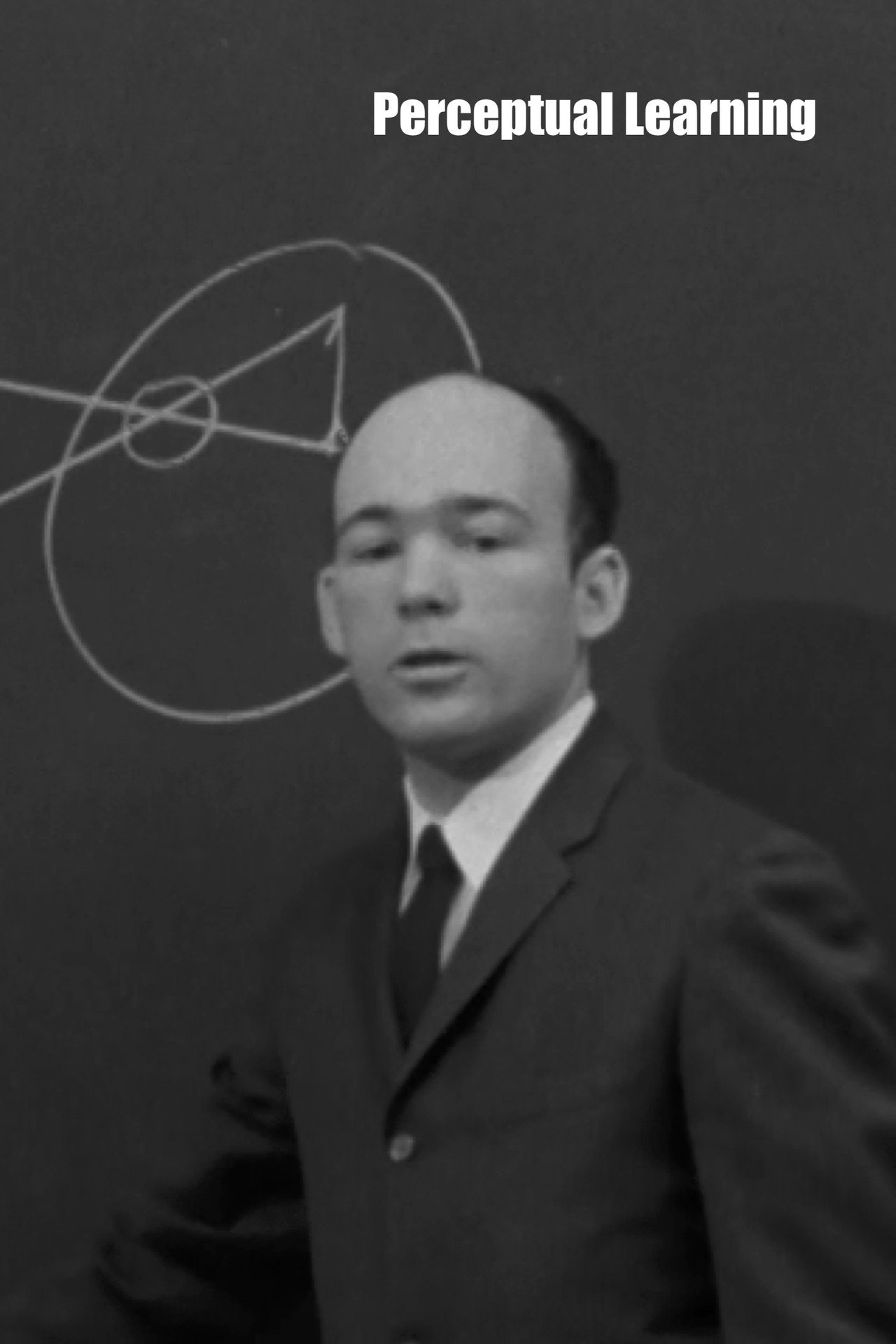 Perceptual Learning filmaffisch