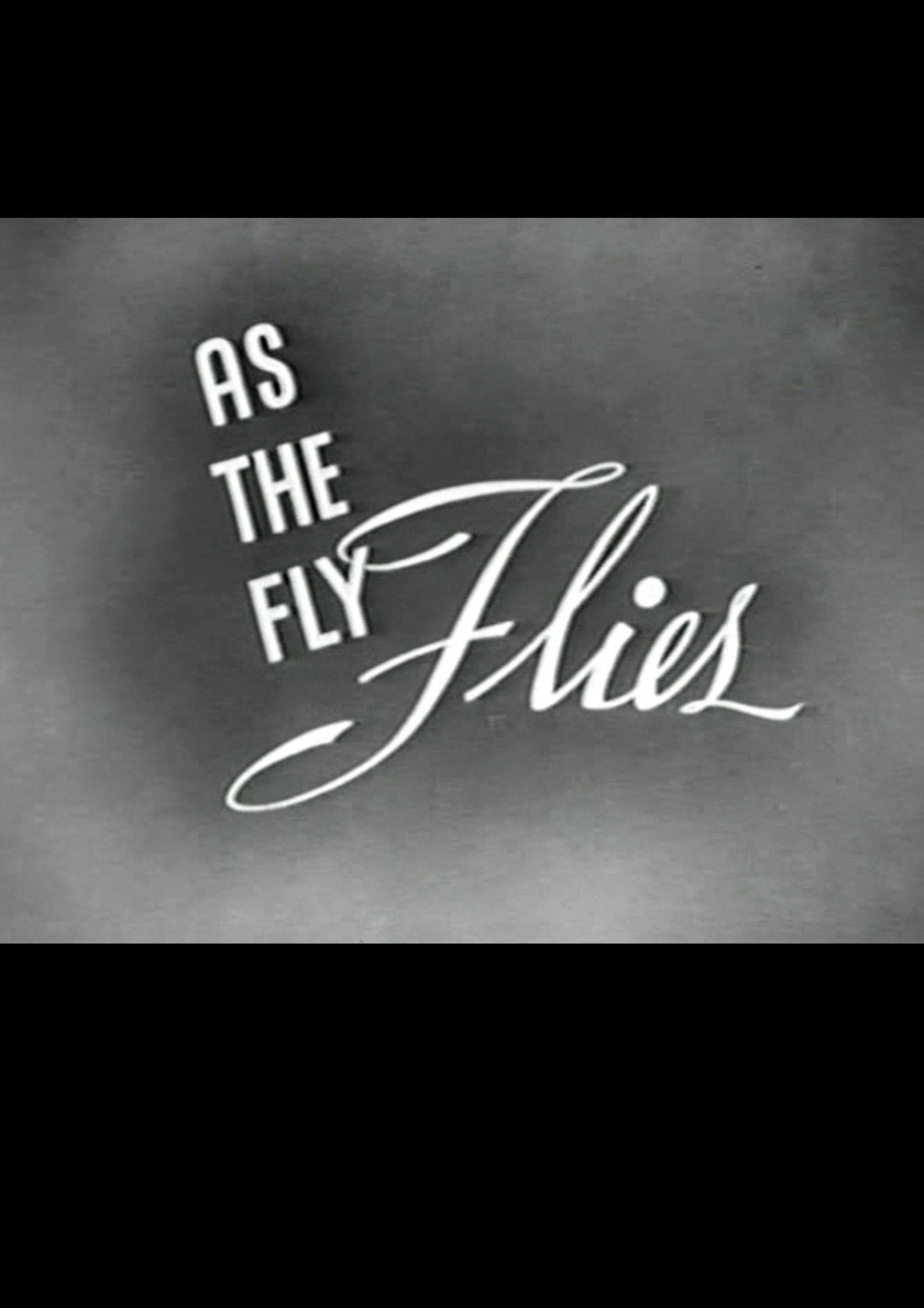 As the Fly Flies filmaffisch