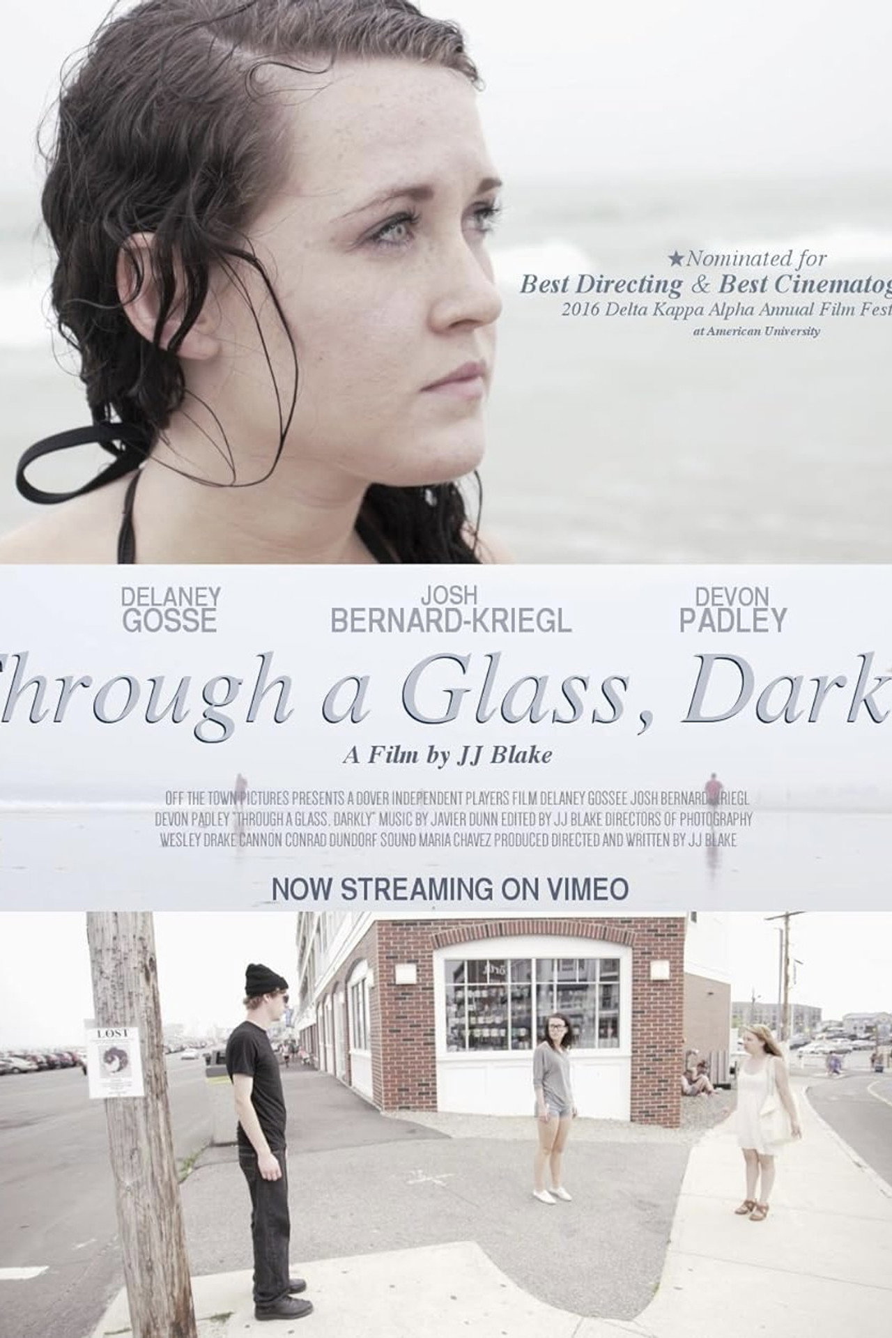Through A Glass, Darkly filmaffisch