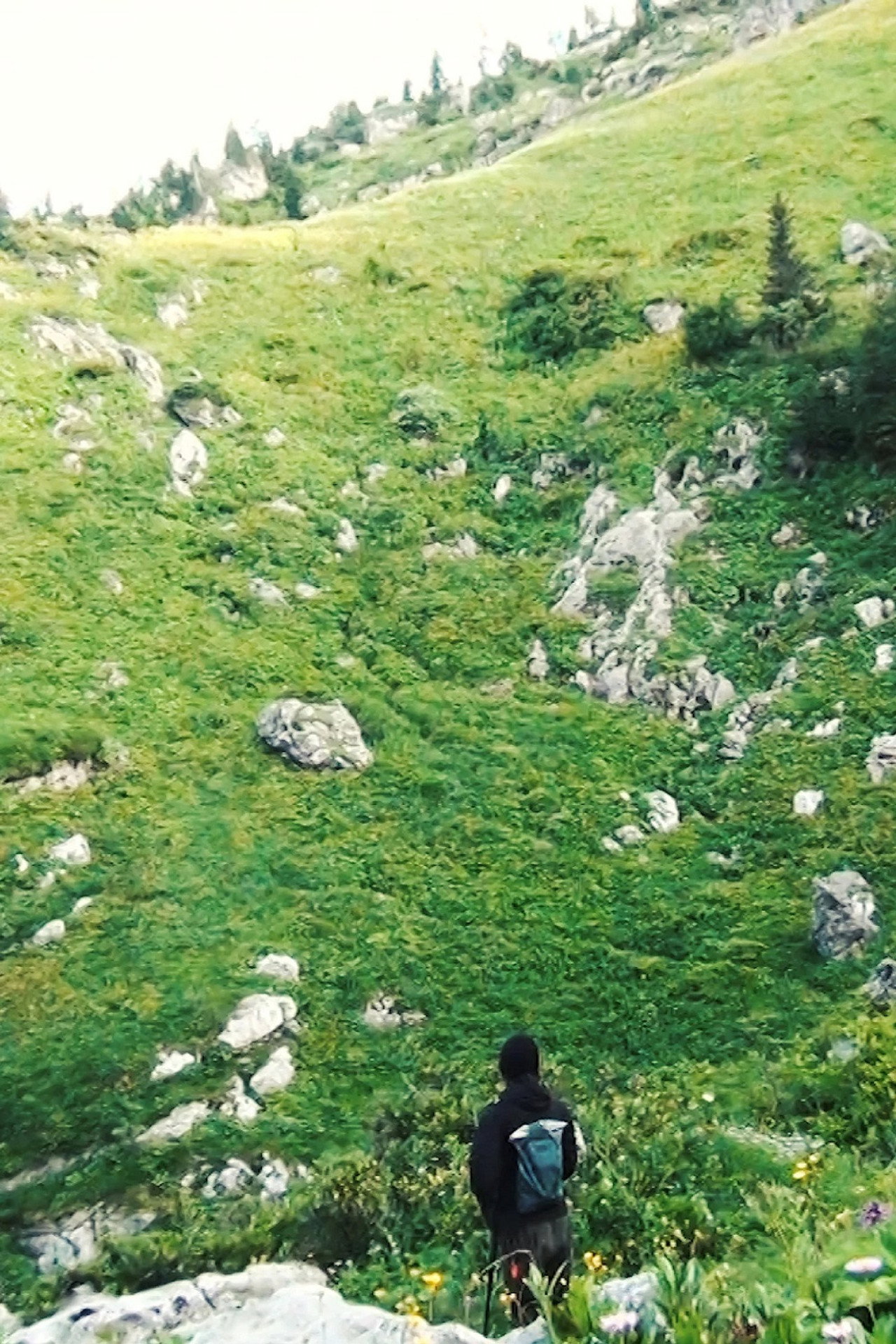 Sometimes We are Travellers