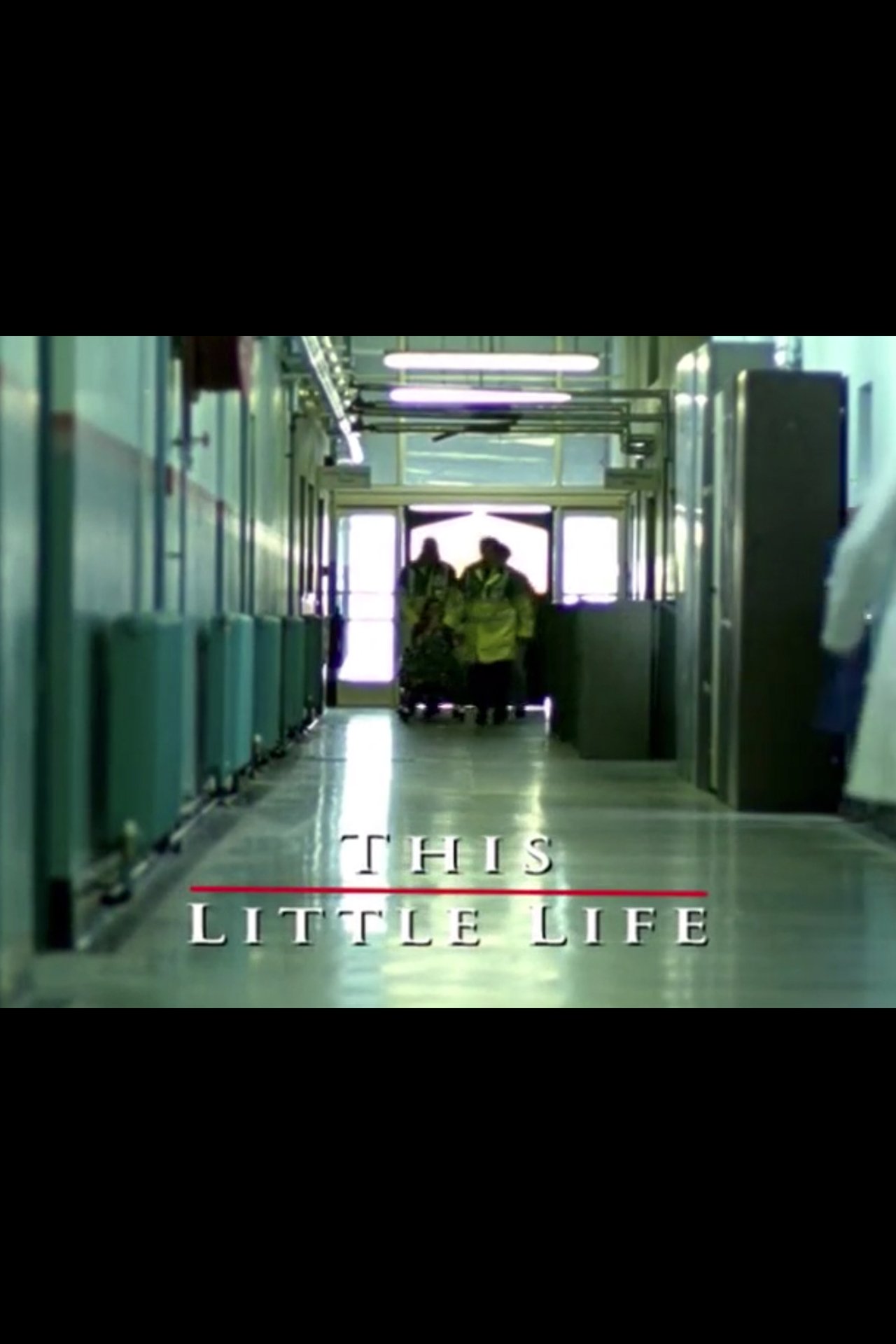 This Little Life This Little Life
