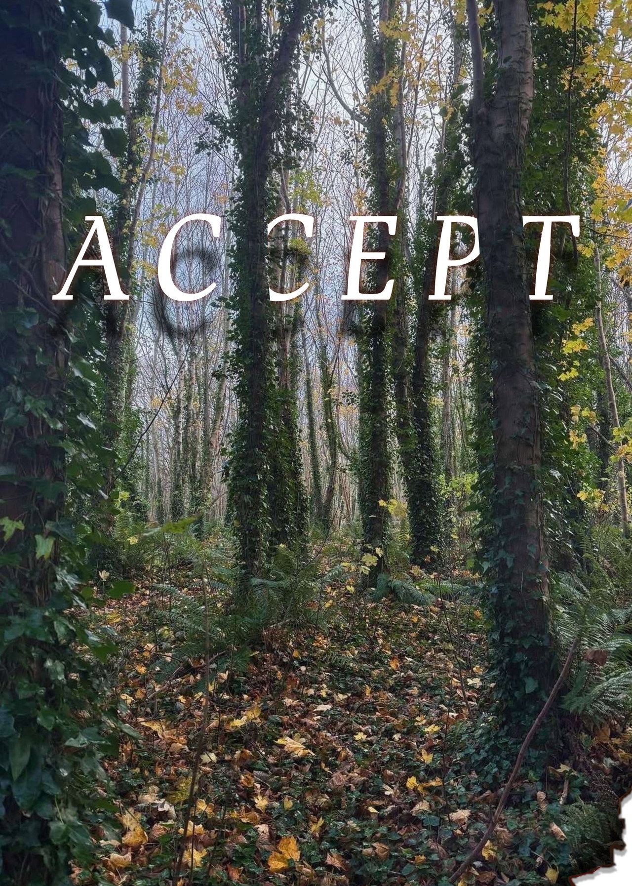Accept Backdrop