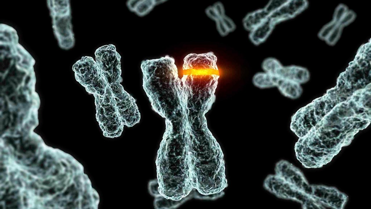 A Science Odyssey