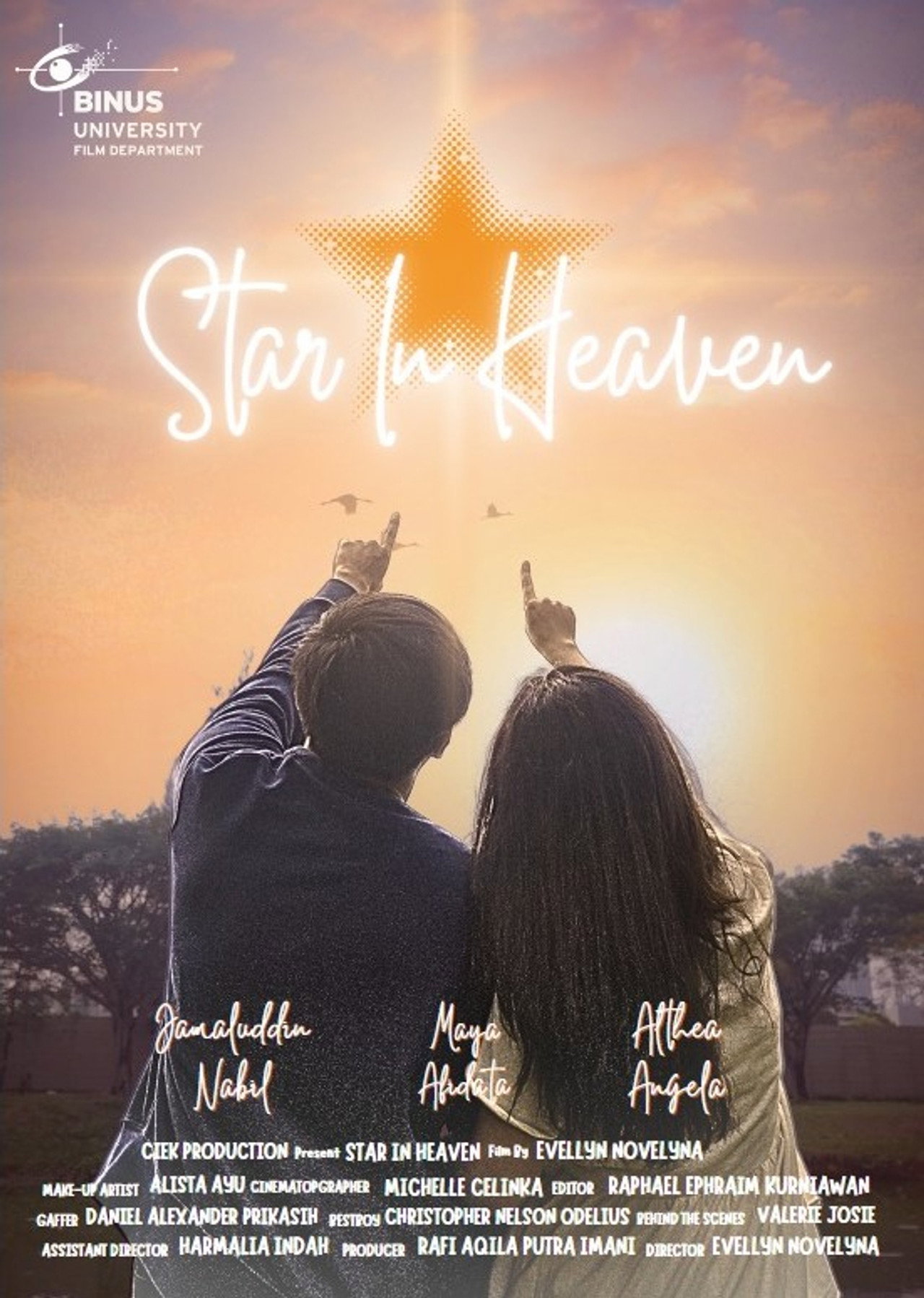 Star In Heaven Backdrop