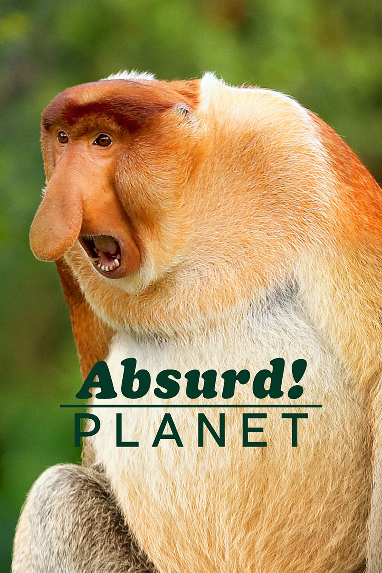 Poster Absurd Planet