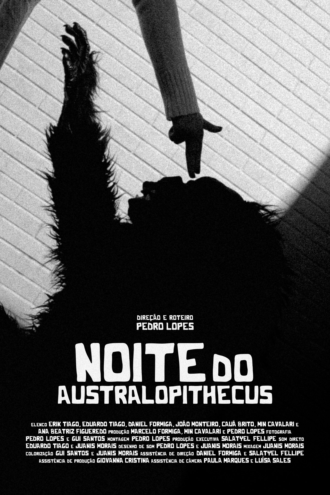 Noite do Australopithecus