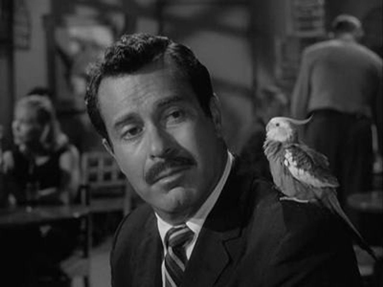 Peter Gunn — Épisode 8