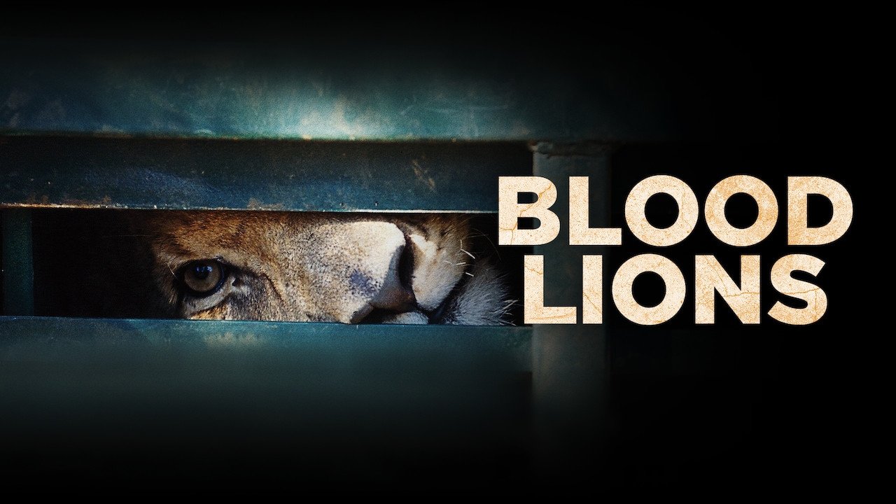 Blood Lions background