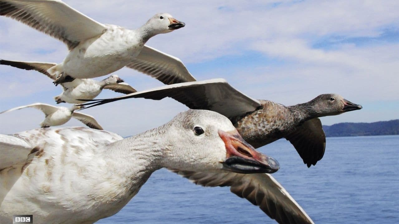 Earthflight: La Tierra desde el cielo background