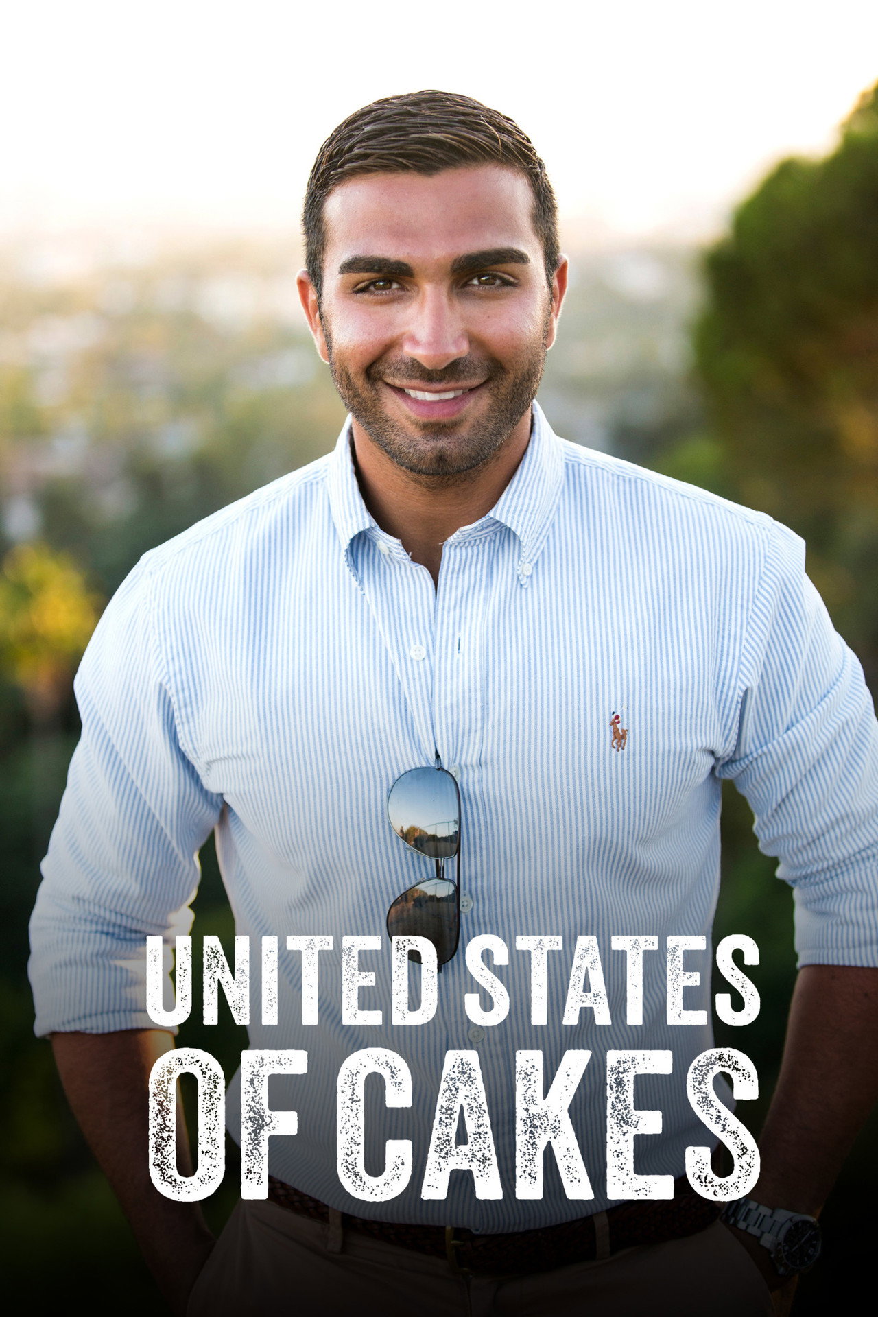 United States of Cakes affisch