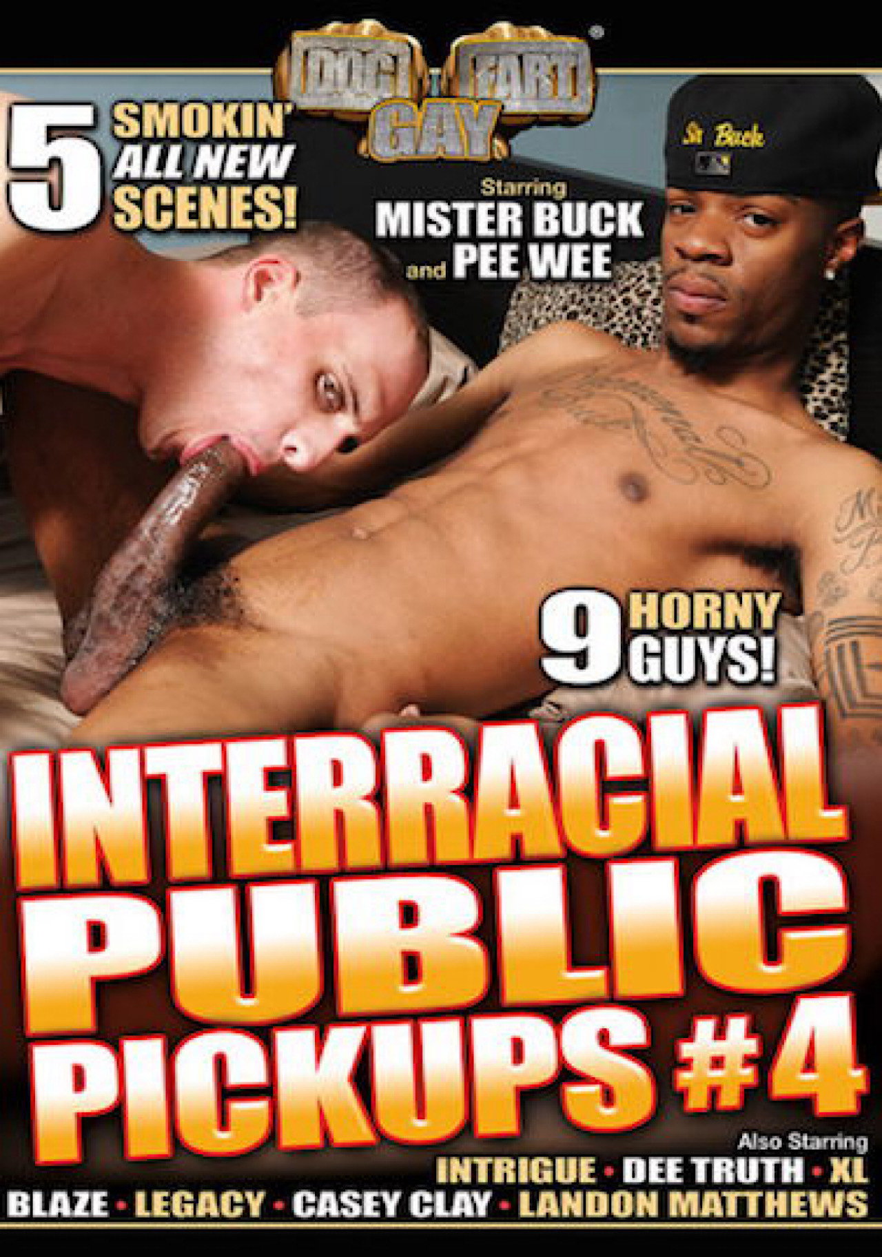 Interracial Public Pickups 4 filmaffisch