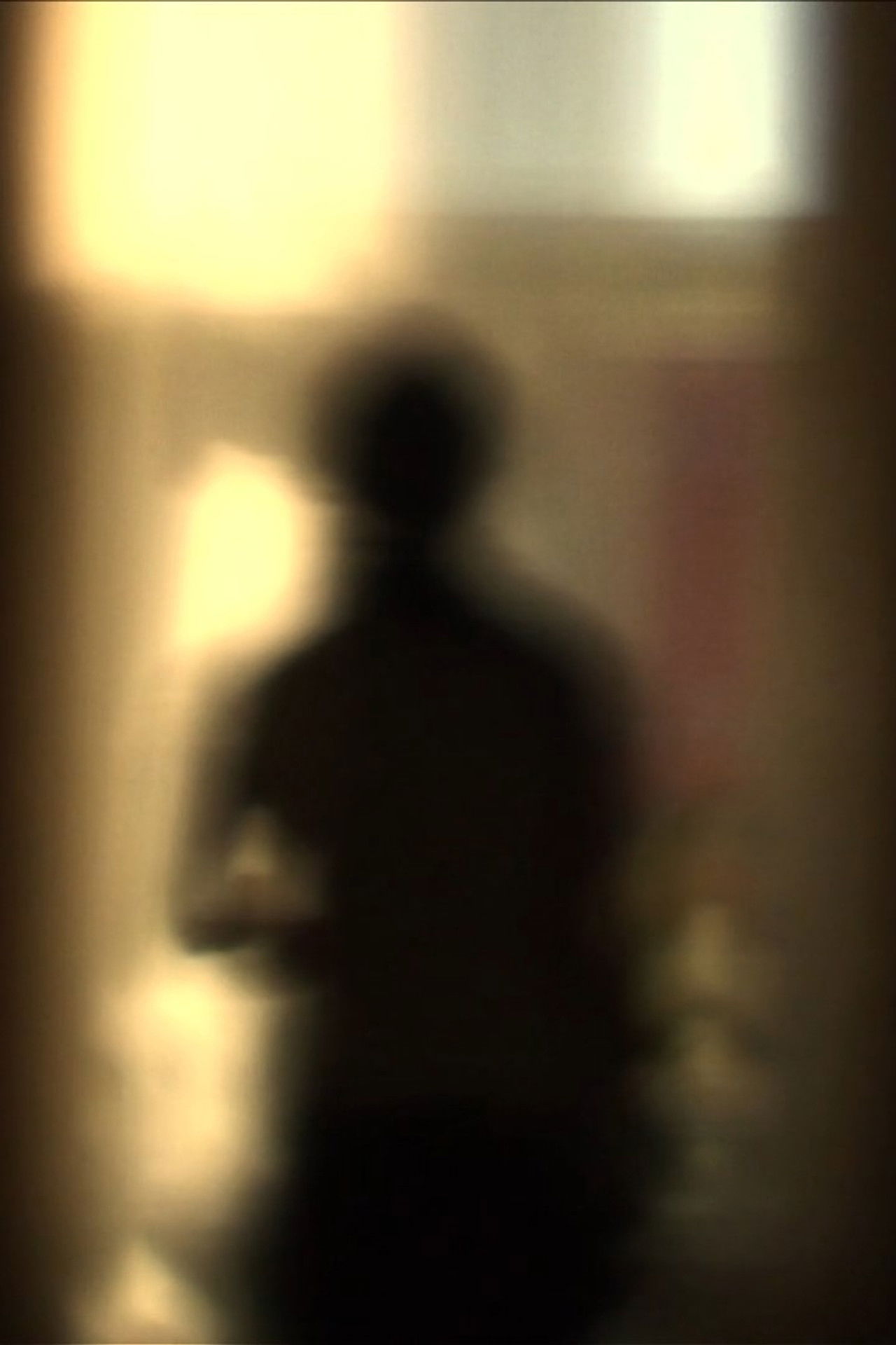 Untitled Stories Backdrop