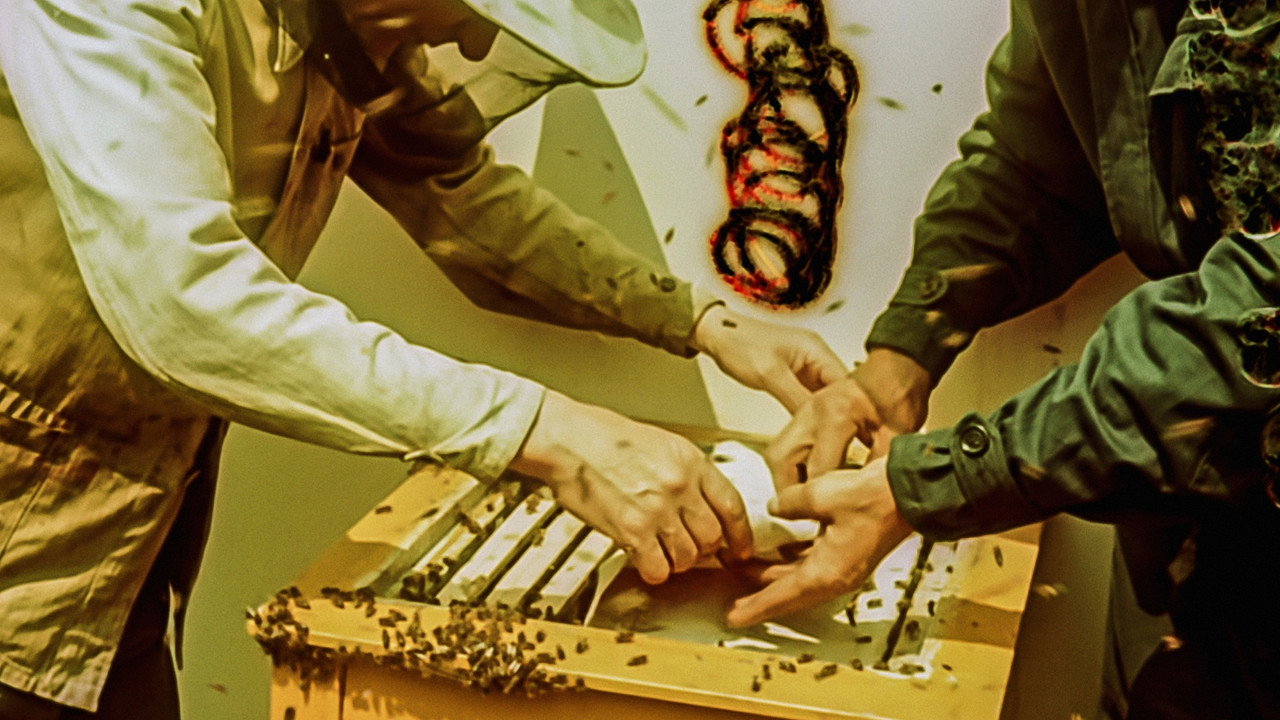 Sweet Rhythms still 2