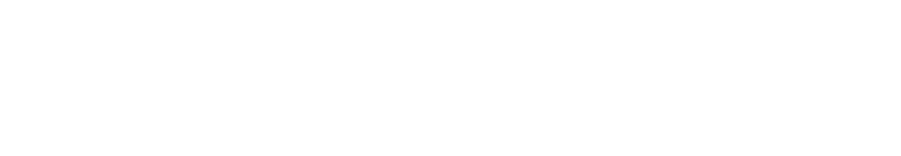 Sardar 2