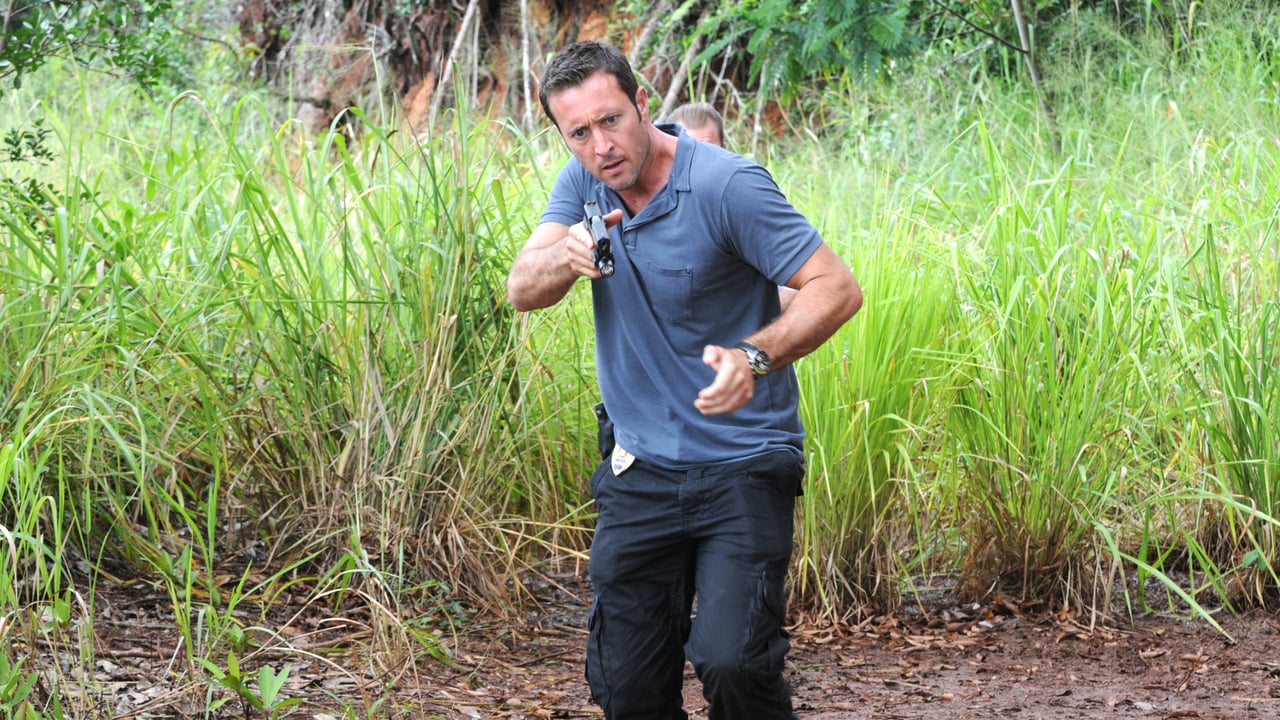 Hawaii Five-0 - Season 6 Episode 13 : Umia Ka Hanu (Hold the Breath)