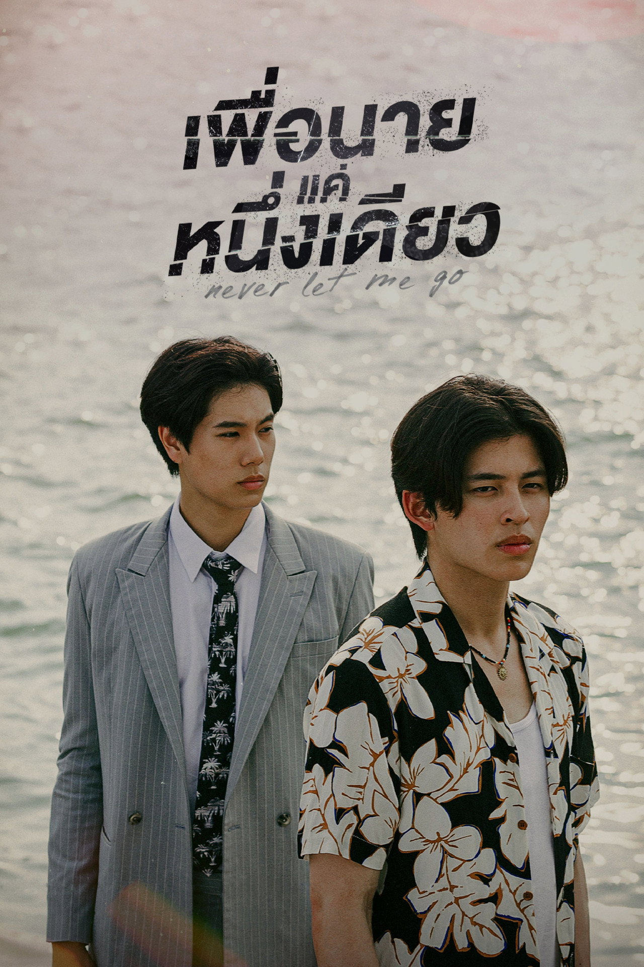 เพื่อนายแค่หนึ่งเดียว affisch