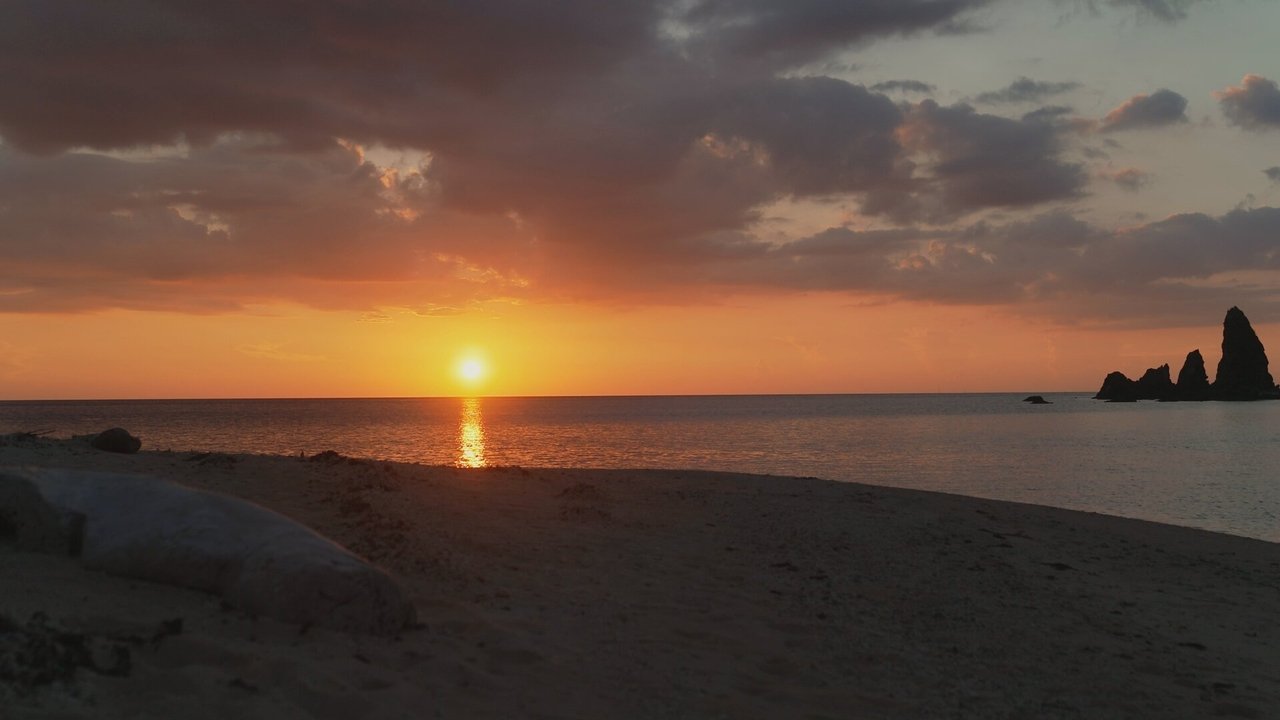 Robinson - Season 24 Episode 33 : Episode 33