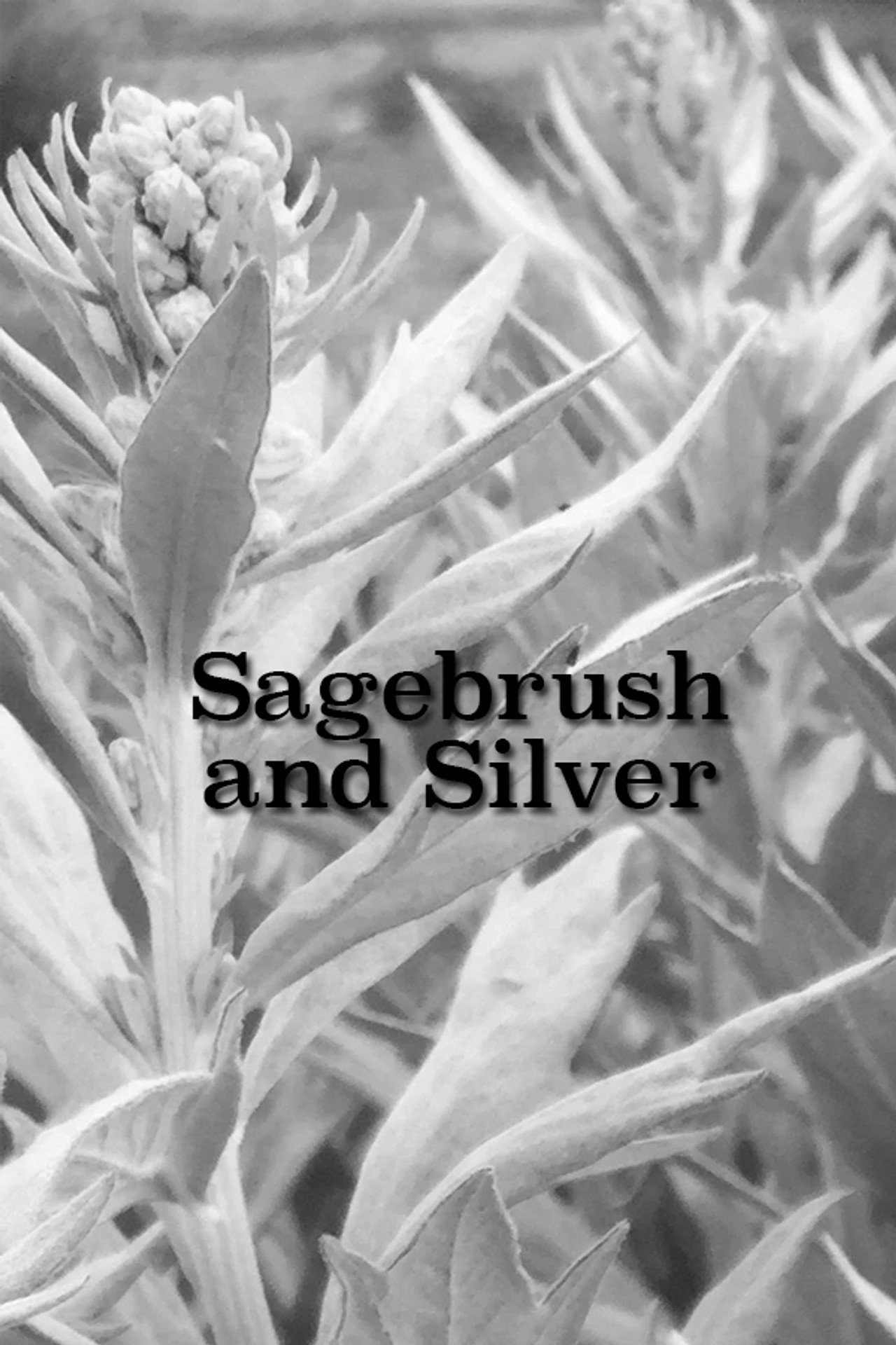 Sagebrush and Silver filmaffisch