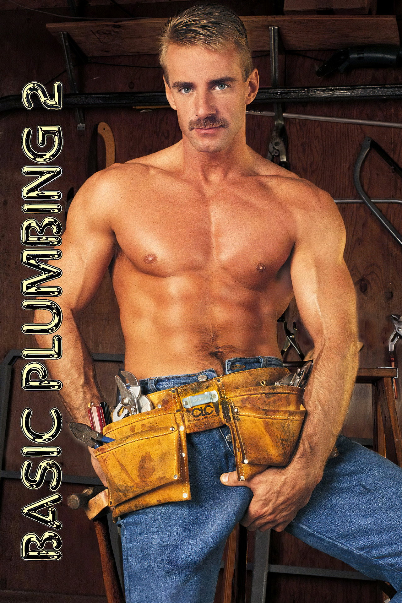 Basic Plumbing 2 filmaffisch
