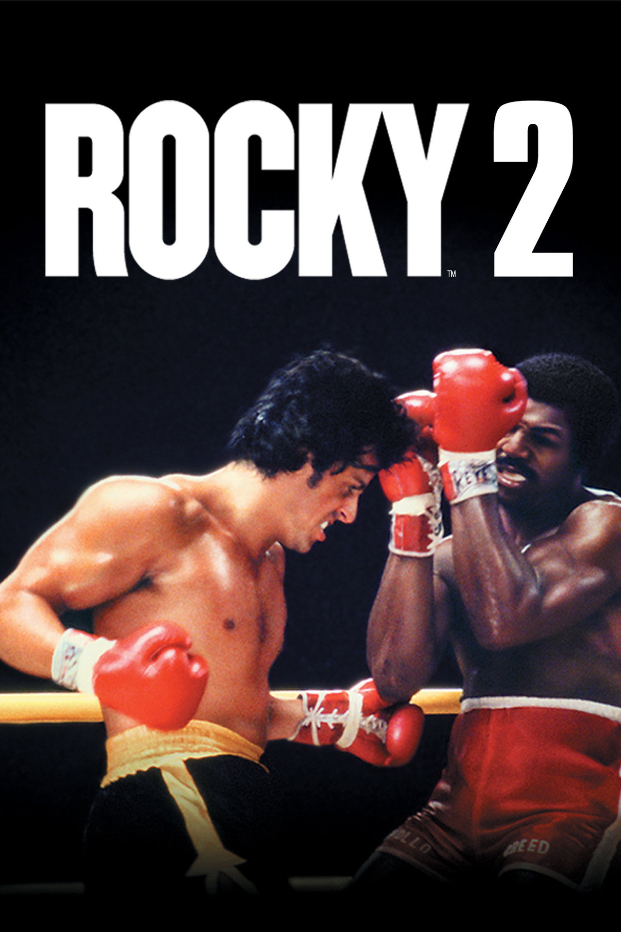 Rocky II Poster