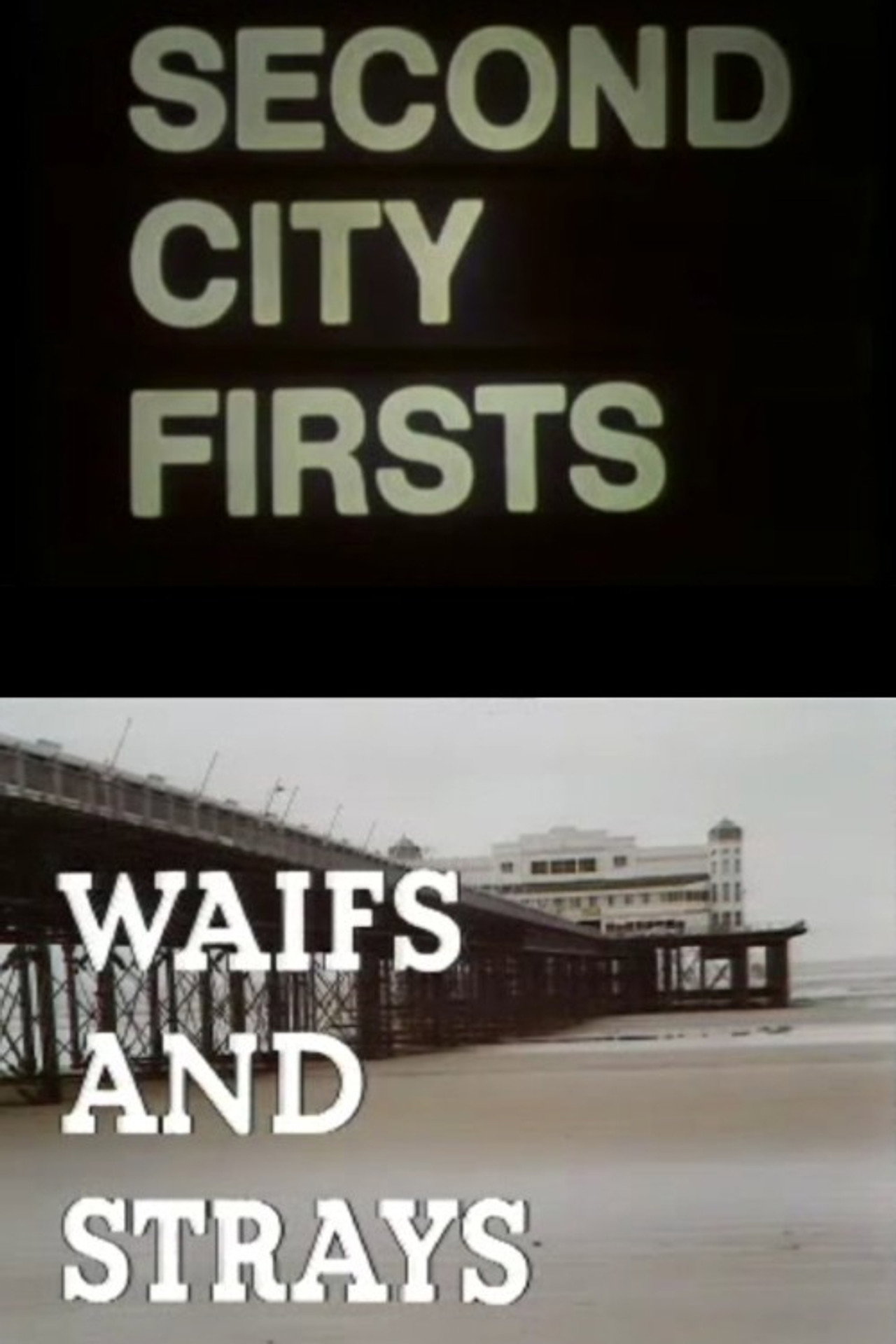 Waifs and Strays Backdrop