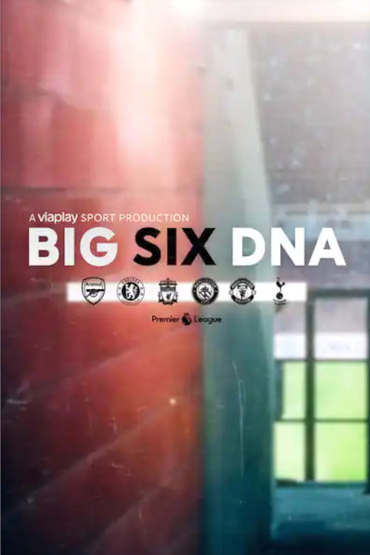 Poster Big Six DNA