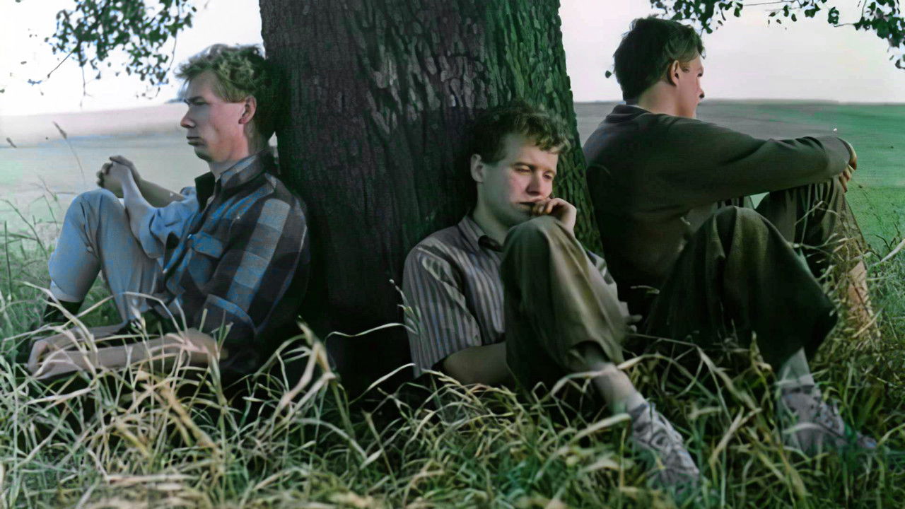 By the River Nowhere backdrop