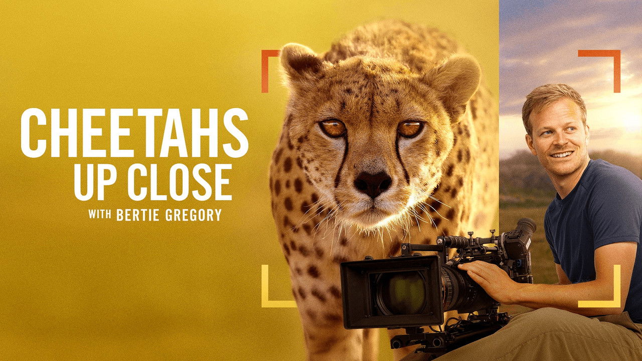 Cheetahs Up Close with Bertie Gregory backdrop