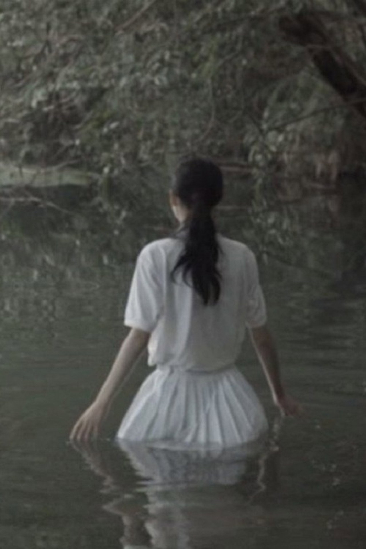 大村植物標本 filmaffisch
