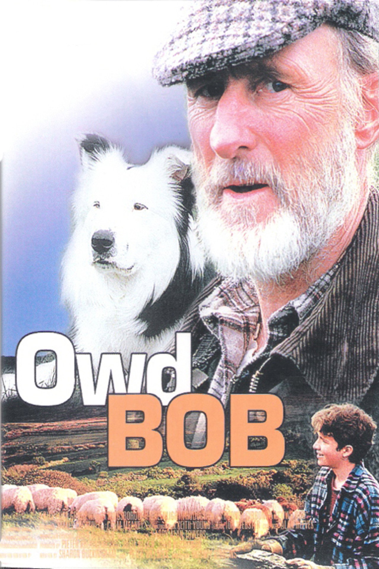 Bob, a juhászkutya – plakát 4