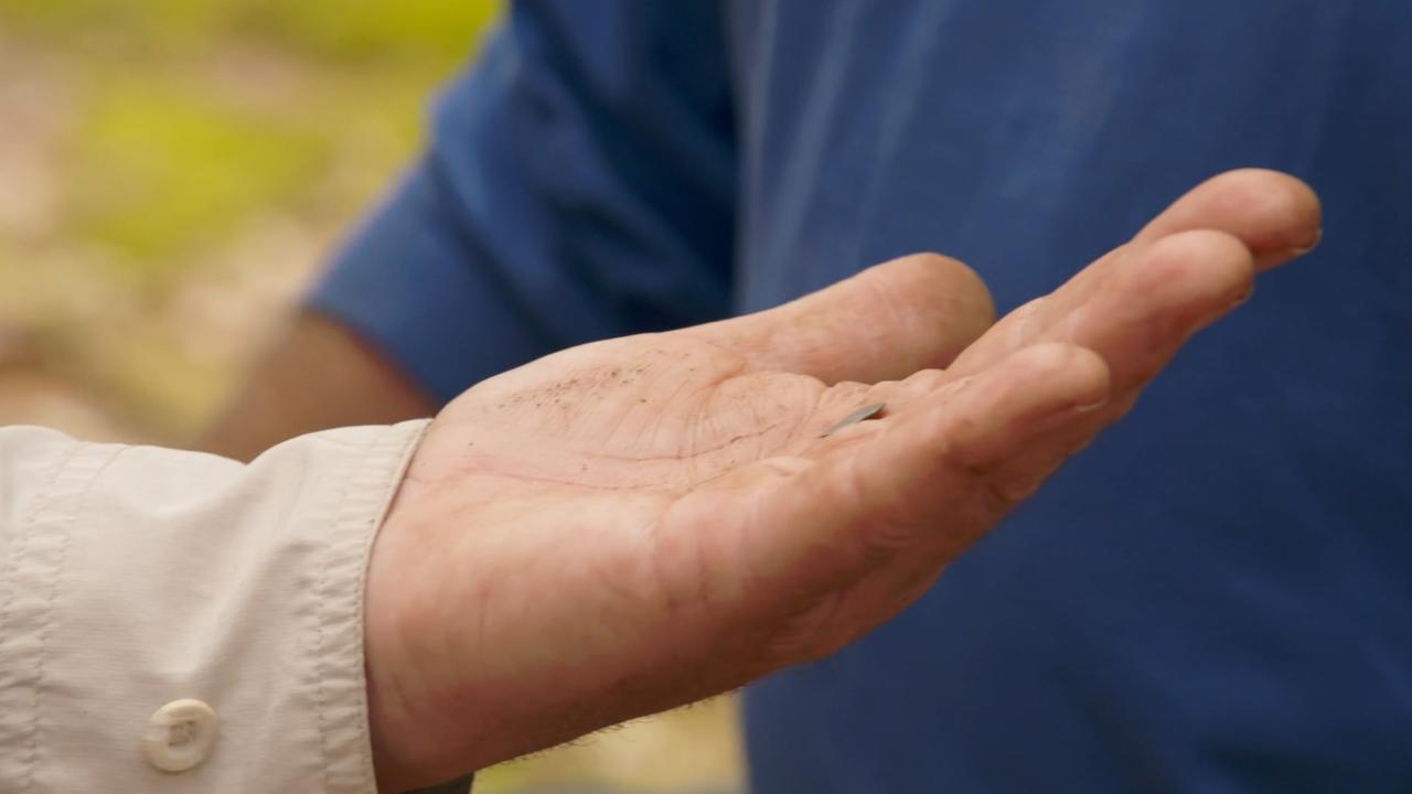 The Curse of Oak Island - Season 10 Episode 8 : A Lot to Be Desired