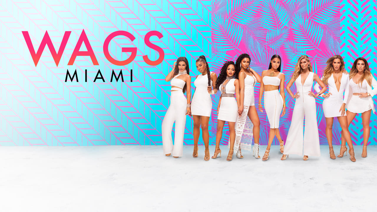 WAGS Miami background