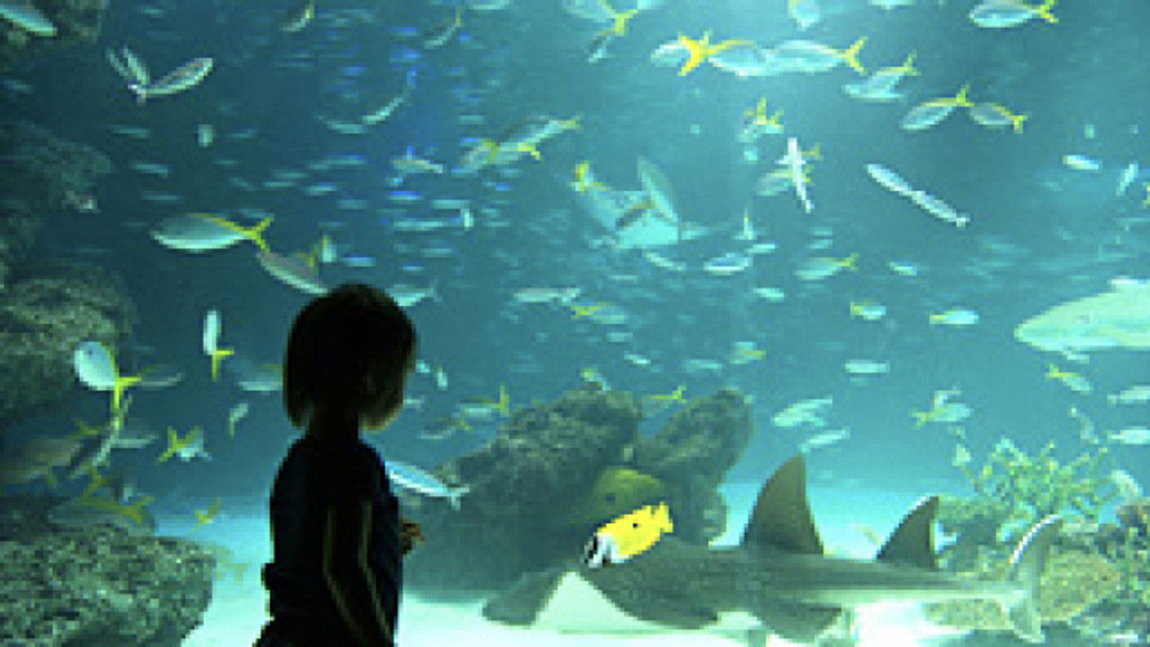 DESIGN TALKS — Épisode 14