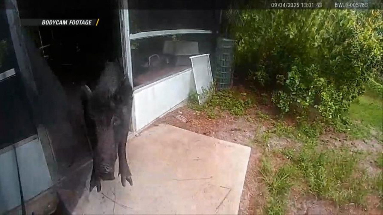 On Patrol: Live — Épisode 15