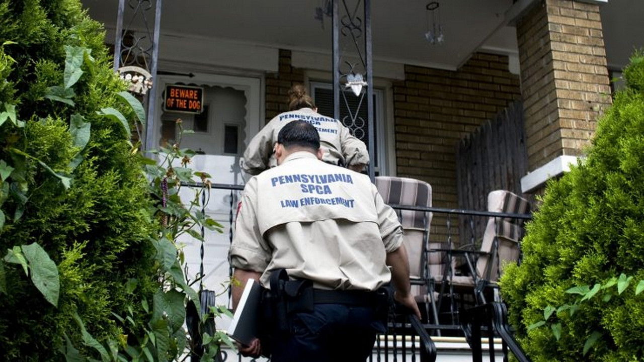 Animal Cops : Philadelphia — Nouveau départ