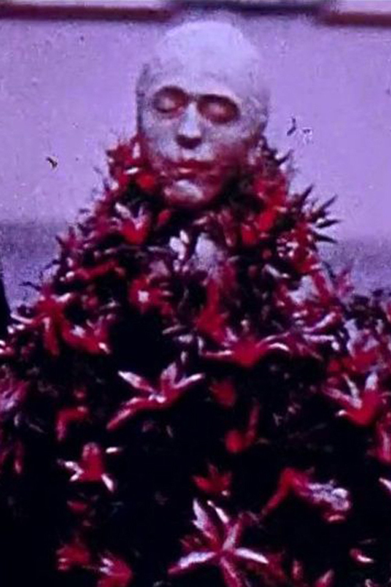 Images du carnaval de Bâle filmaffisch
