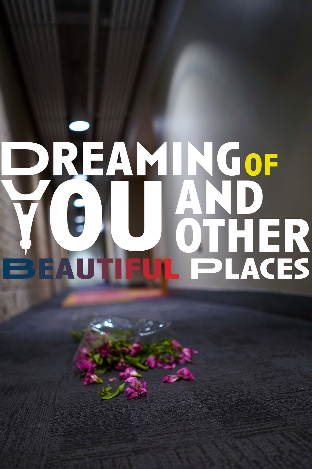 Dreaming of You and Other Beautiful Places filmaffisch