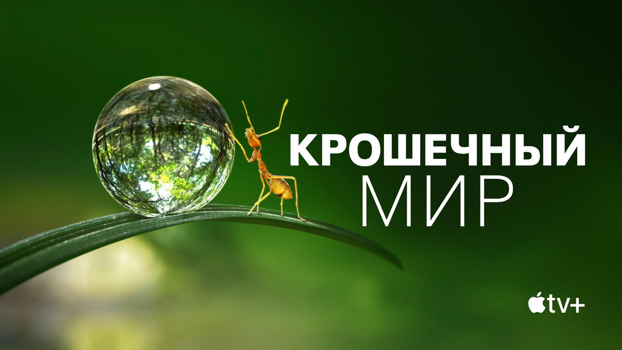 Крошечный мир