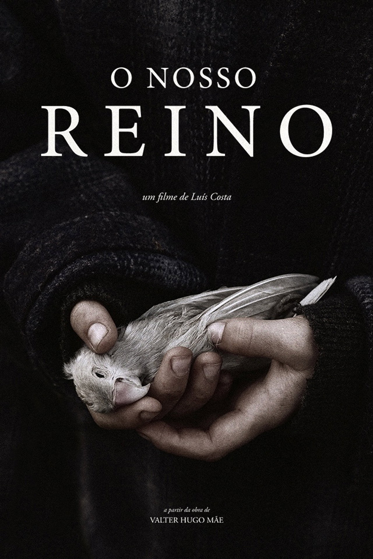 O Nosso Reino filmaffisch