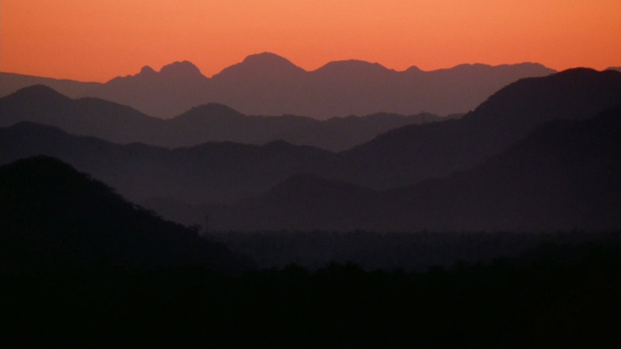 Kill Bill: The Whole Bloody Affair background 107