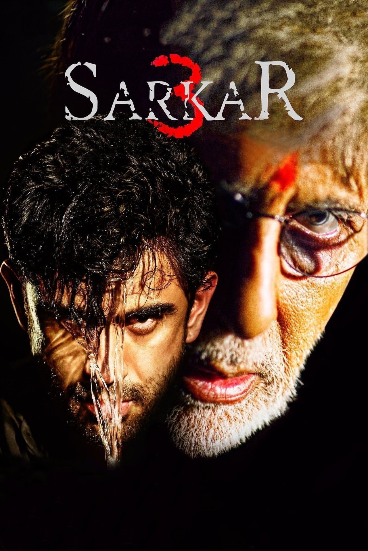 مشاهدة فيلم Sarkar 3 مترجم بدون اعلانات - بوستر