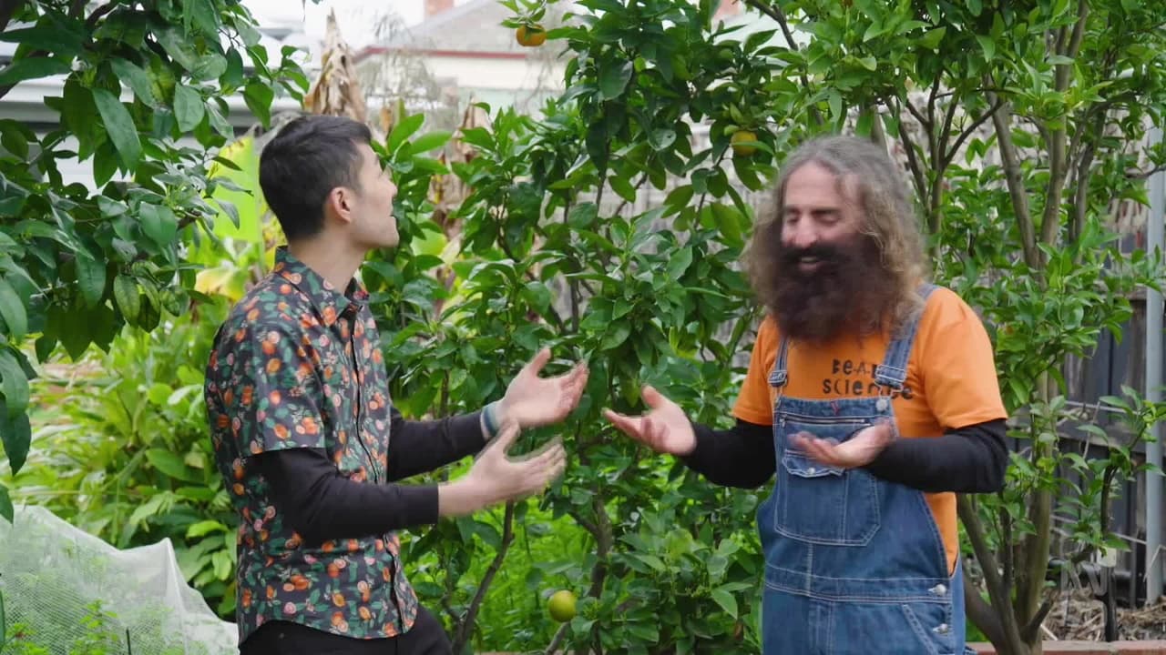 Gardening Australia - Season 33 Episode 31 : Episode 31 Fruit Nerd, Jac Semmler, Rye & Hydroponics