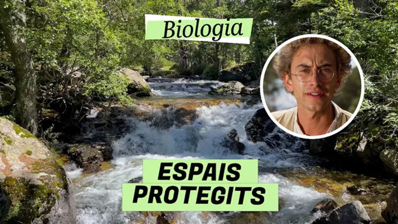 Biologia — Épisode 13