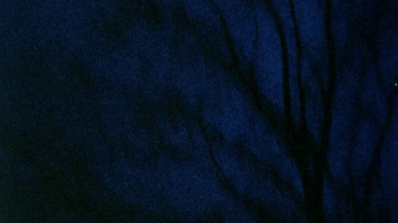 title image