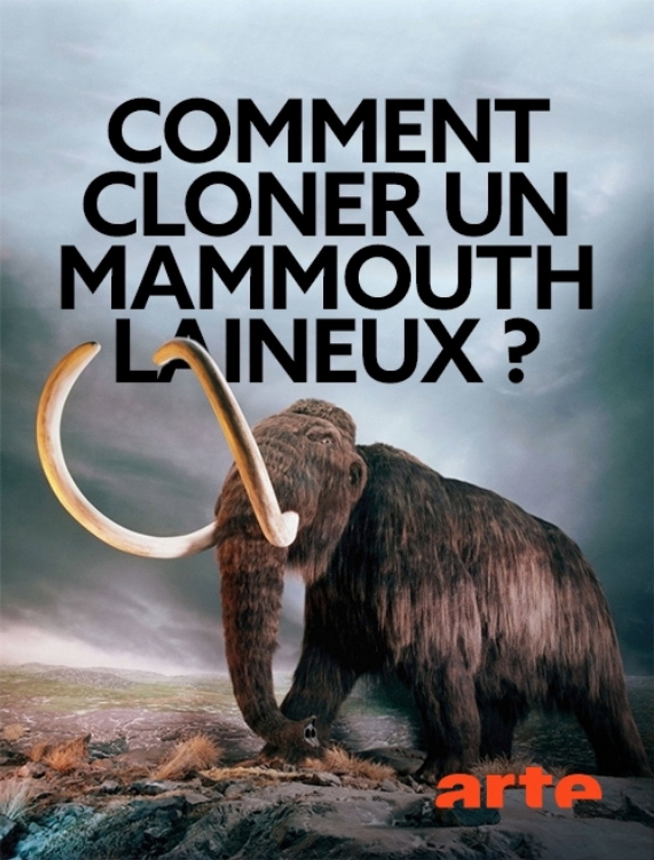 Woolly Mammoth: The Autopsy Backdrop