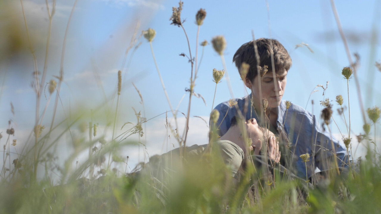 Лелеки завжди повертаються додому