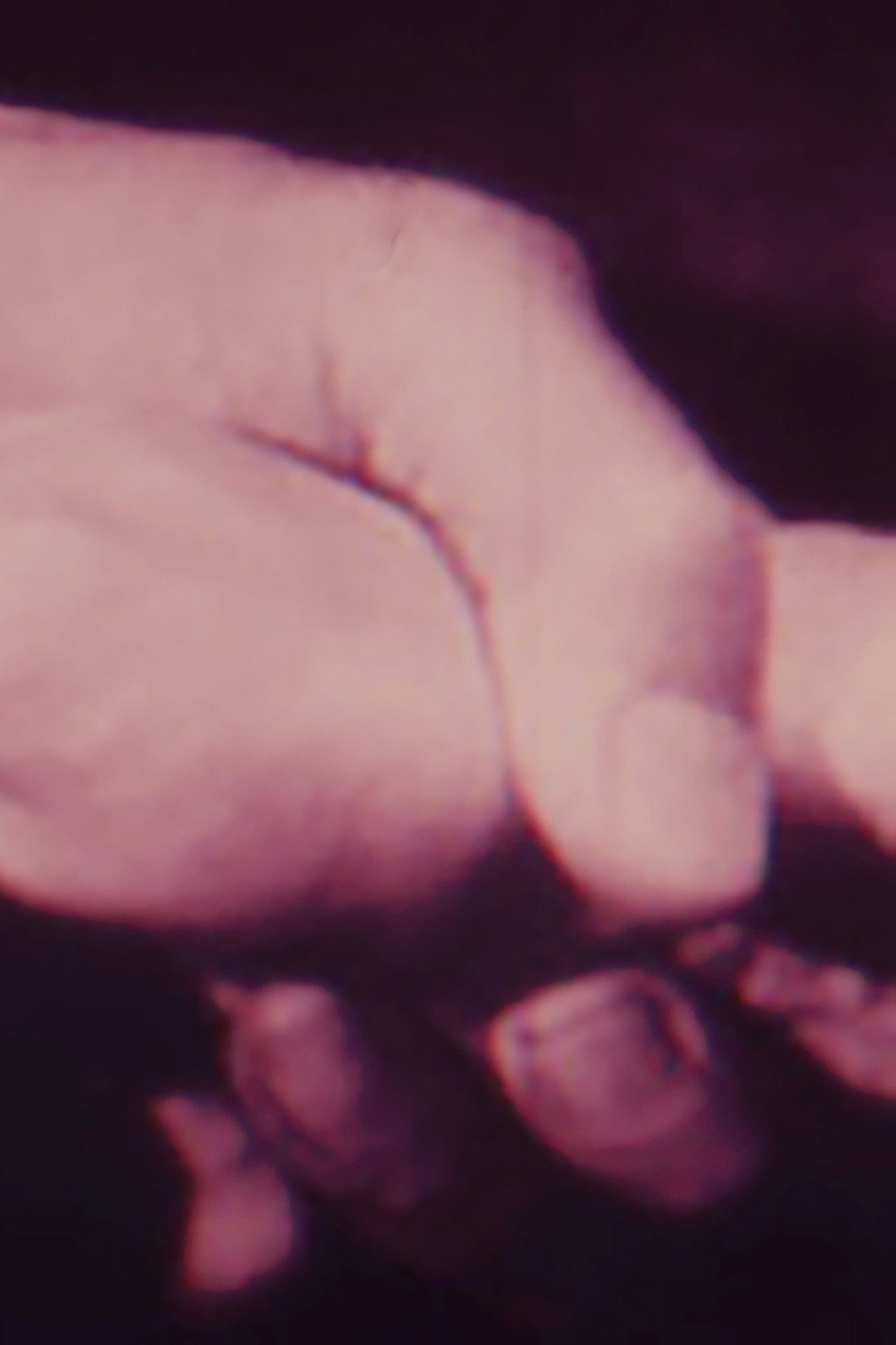 Mechanics Of The Brain filmaffisch
