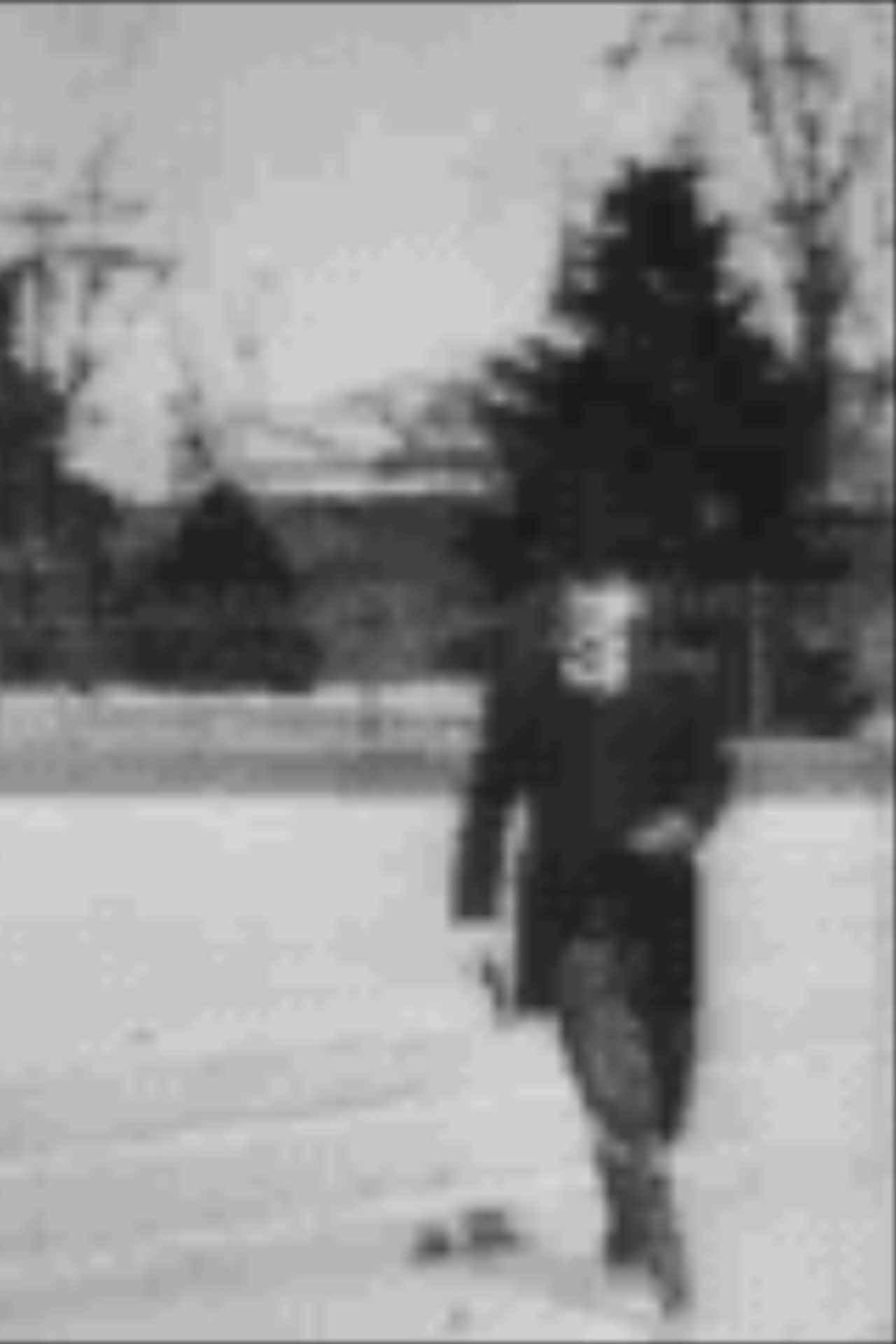 Theodore Roosevelt Leaving the White House Backdrop